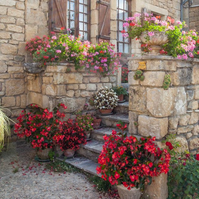 The Gardens of La Roque de Gageac, geranium, begonia, potted flowers