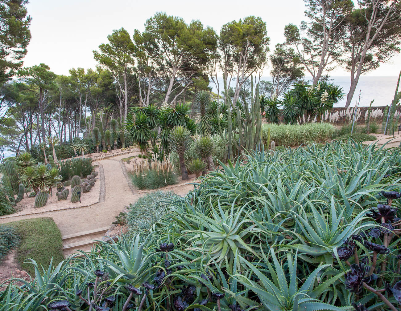 Costa Brava Garden | Jardins de Cap Roig | Cultivated and Wild