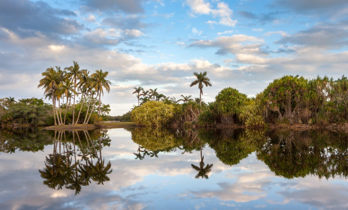 palm reflections at the fairchild tropical botanical garden