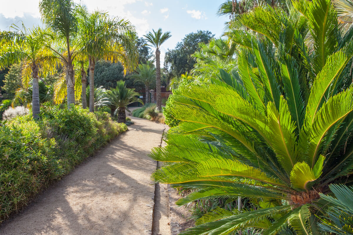 palm garden jardins de cap roig